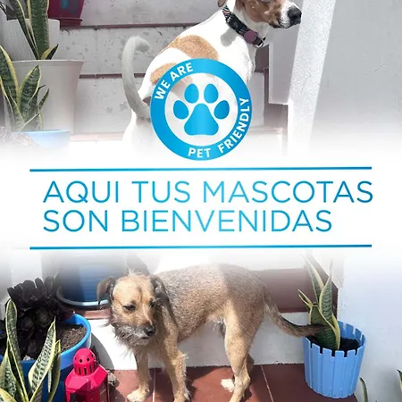 La Buganvilla Casa de hóspedes